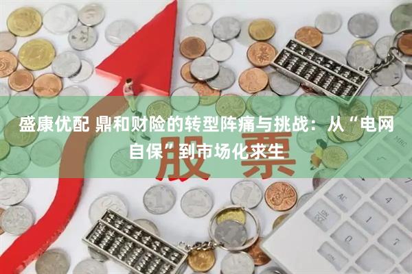 盛康优配 鼎和财险的转型阵痛与挑战：从“电网自保”到市场化求生