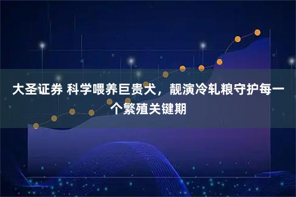 大圣证券 科学喂养巨贵犬，靓演冷轧粮守护每一个繁殖关键期