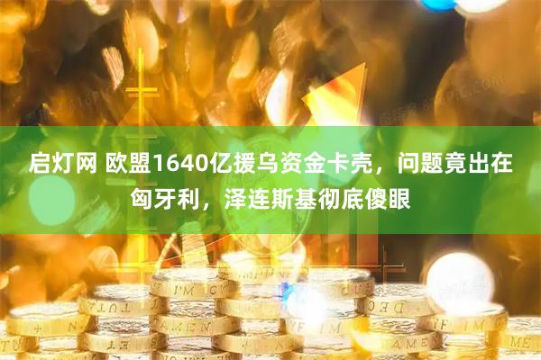 启灯网 欧盟1640亿援乌资金卡壳，问题竟出在匈牙利，泽连斯基彻底傻眼
