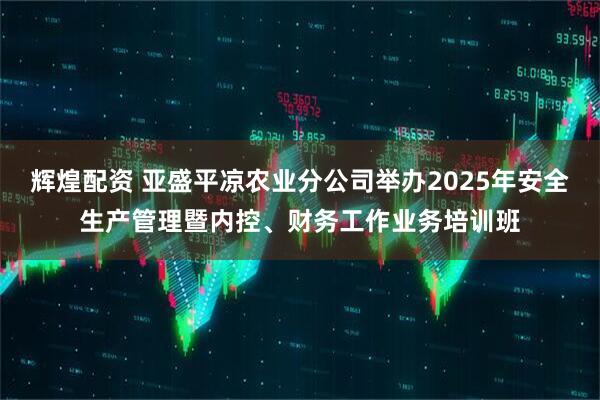 辉煌配资 亚盛平凉农业分公司举办2025年安全生产管理暨内控、财务工作业务培训班